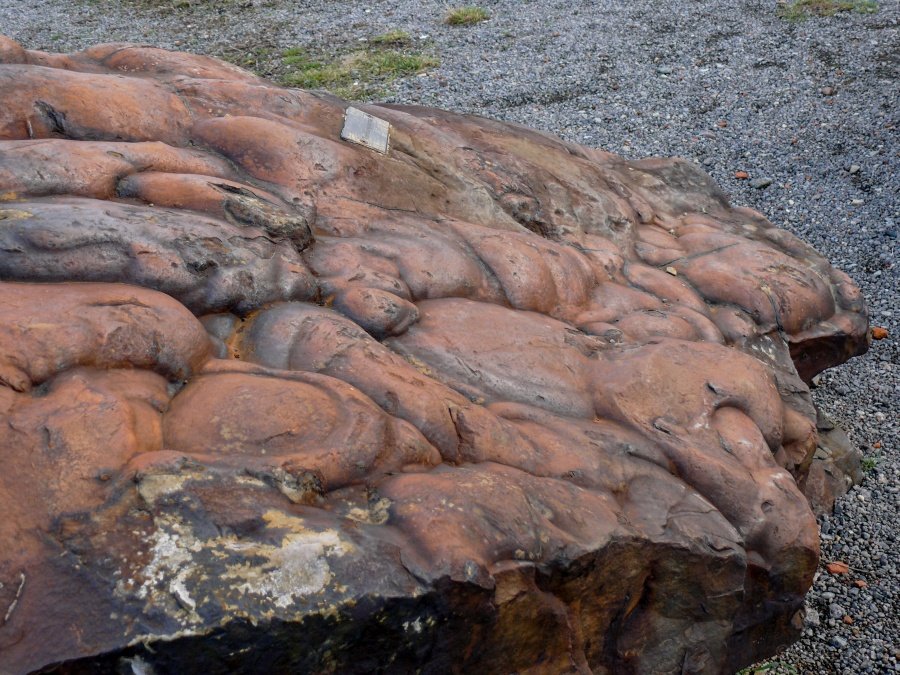Grube Offleben_18.JPG - Findling aus der Terziärzeit vor 65 Mil Jahren